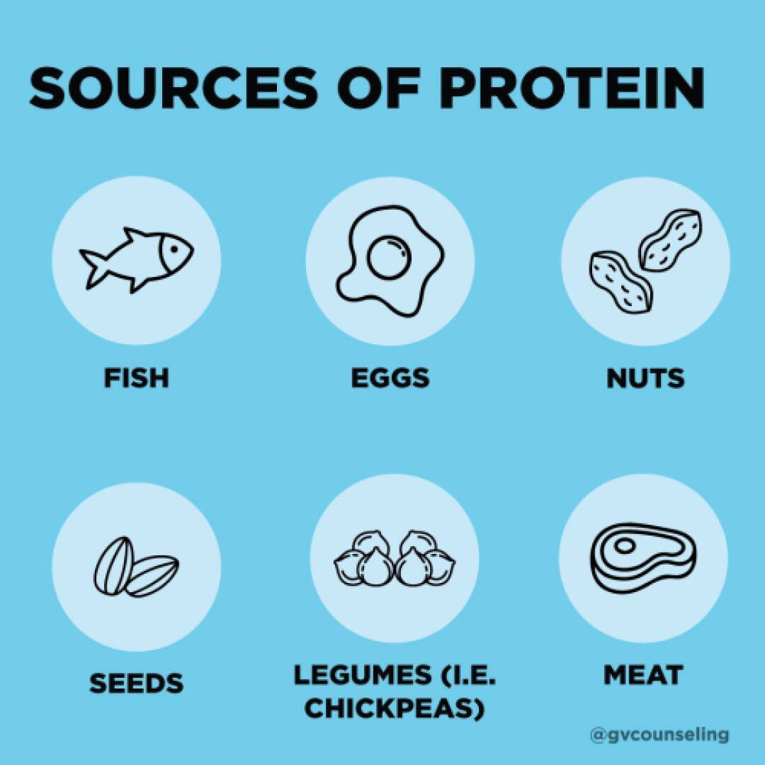 Blue infographic titled "Sources of Protein" with simple icons of fish, eggs, nuts, seeds, legumes, and meat. Each item is labeled beneath its icon.